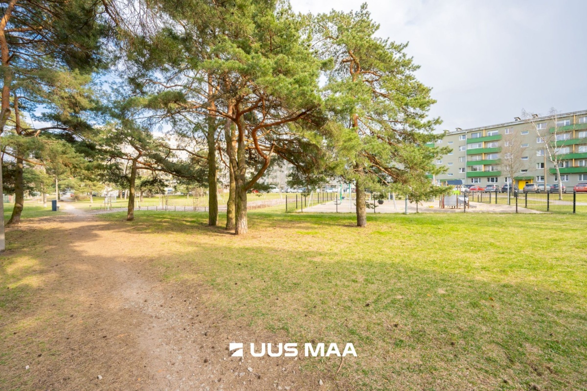 Tallinn, Mustamäe linnaosa, Mustamäe, Sõpruse pst 236