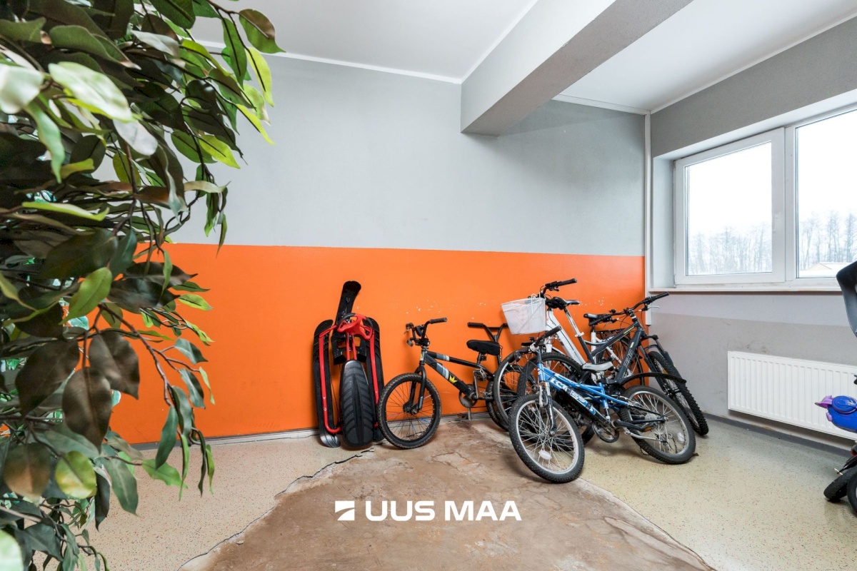 Kiili vald, Luige alevik, Männi 1