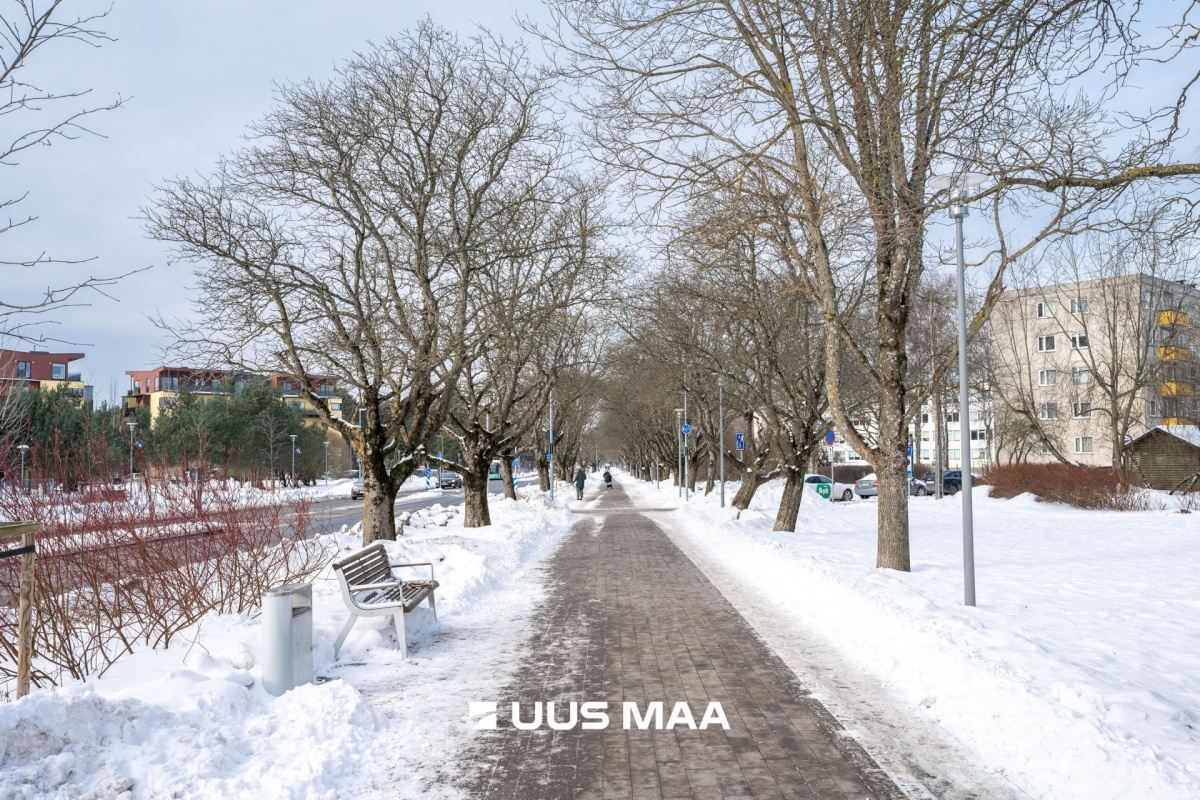 Tallinn, Põhja-Tallinna linnaosa, Kolde pst 82