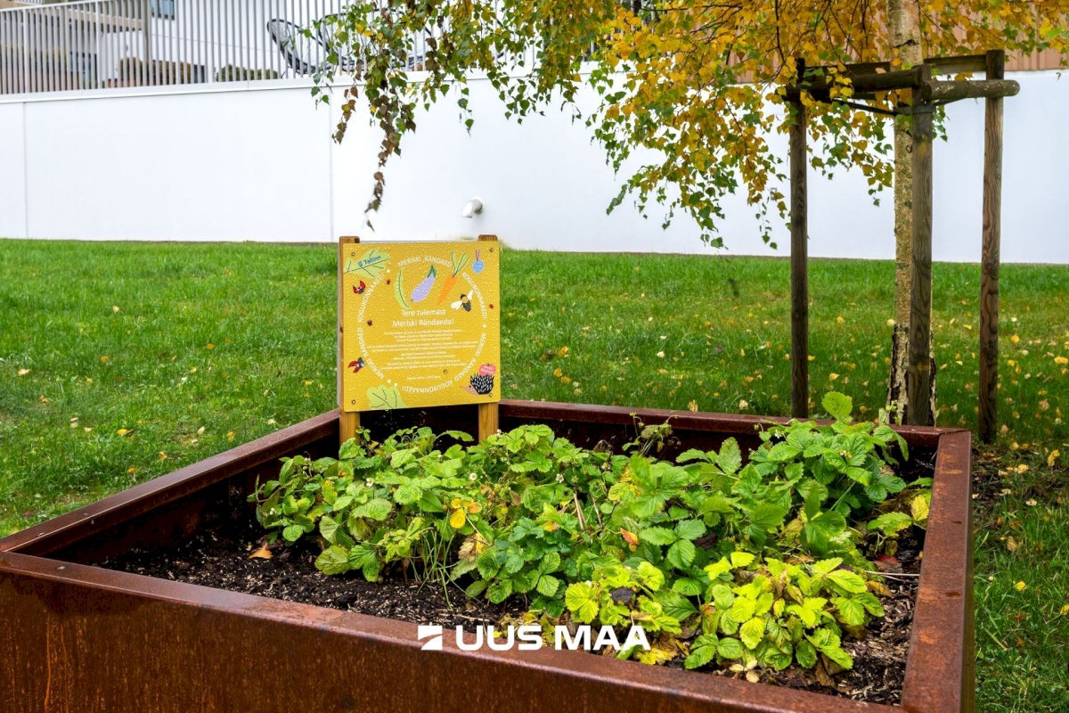 Tallinn, Kristiine linnaosa, Vihitaja 3