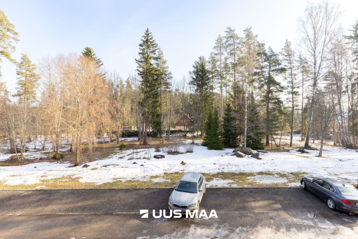 Haljala vald, Võsupere küla, Saare