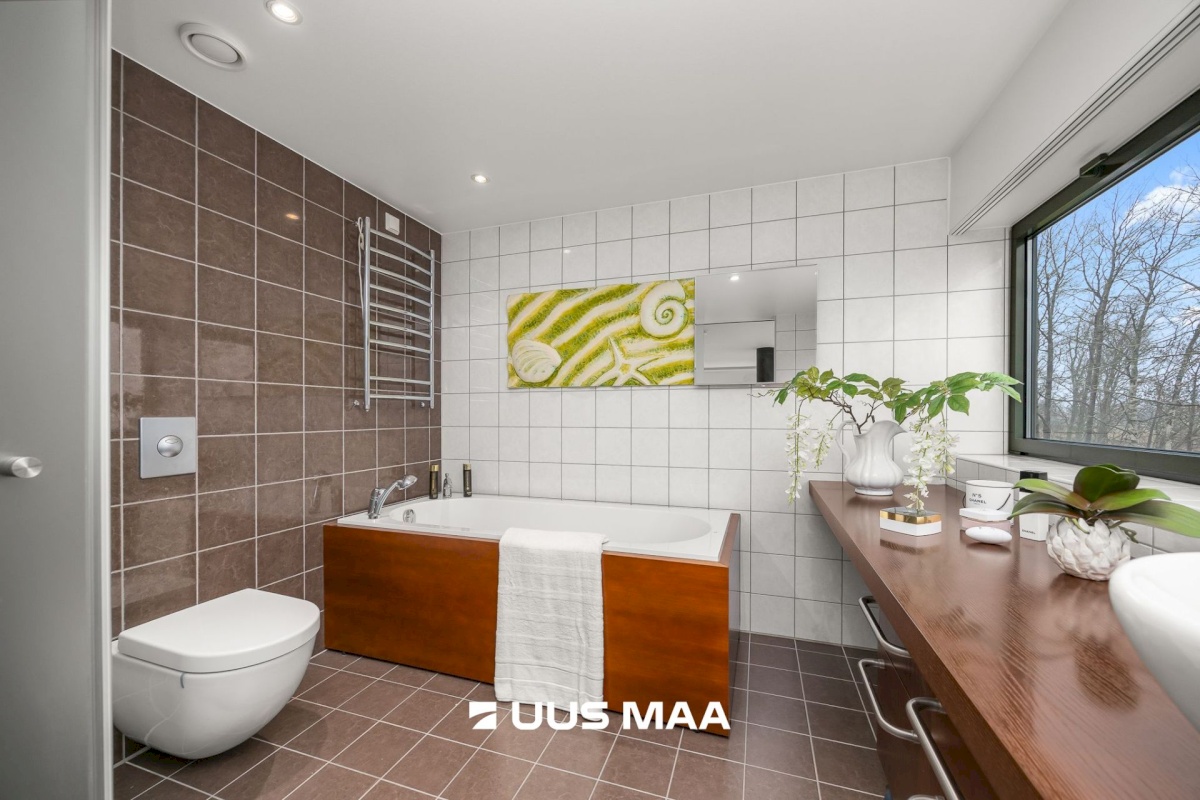 Viimsi vald, Tammneeme küla, Tammneeme tee 37