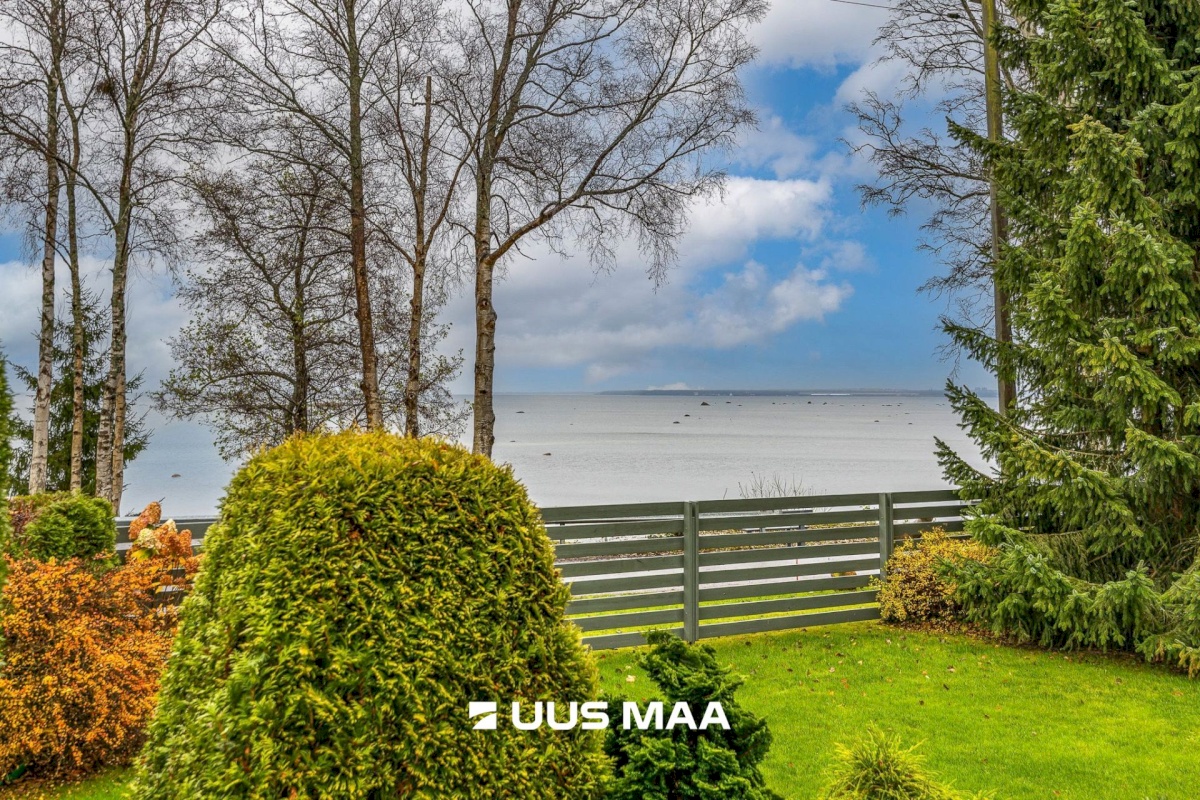 Viimsi vald, Tammneeme küla, Tammneeme tee 37