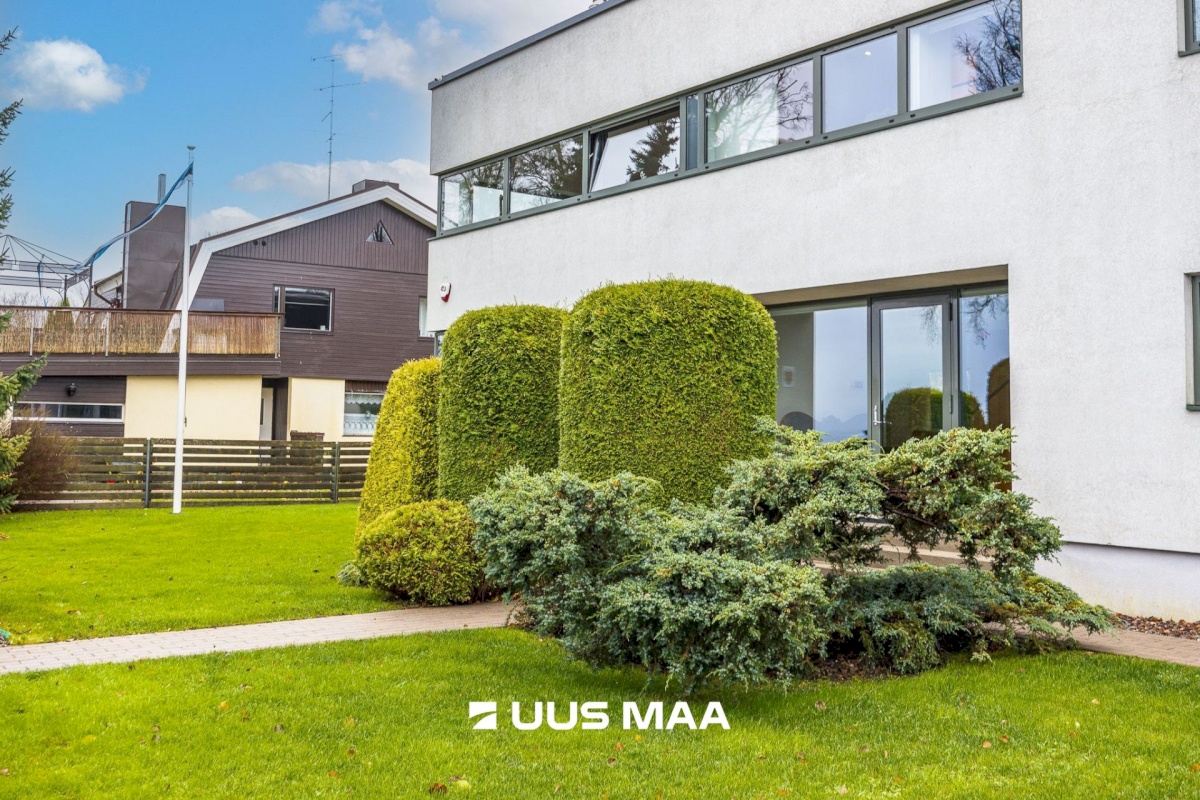 Viimsi vald, Tammneeme küla, Tammneeme tee 37