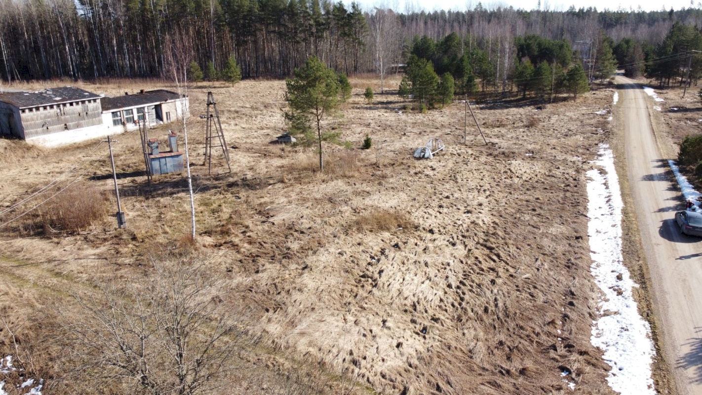 Alutaguse vald, Tudulinna küla, pargi