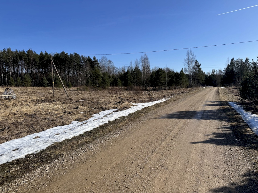 Alutaguse vald, Tudulinna küla, pargi