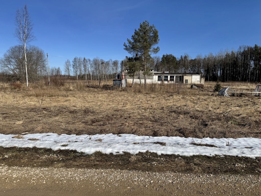 Alutaguse vald, Tudulinna küla, pargi