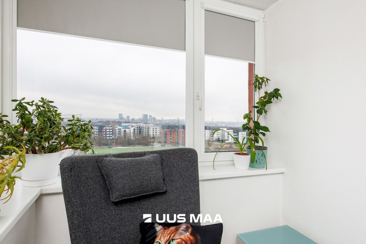 Tallinn, Lasnamäe linnaosa, Liikuri 10