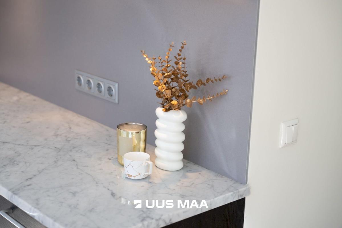 Tallinn, Kesklinna linnaosa, Sibulaküla, Kentmanni 7