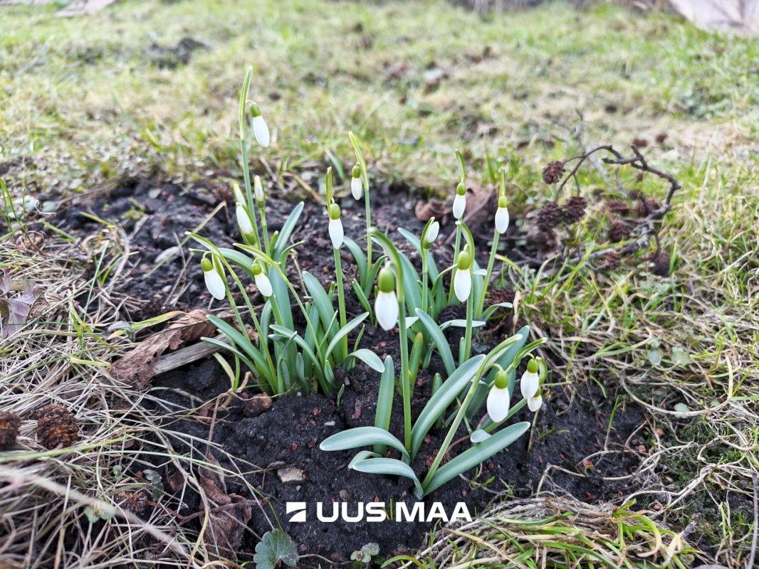 Harku vald, Suurupi küla, Vaikuse tee 29