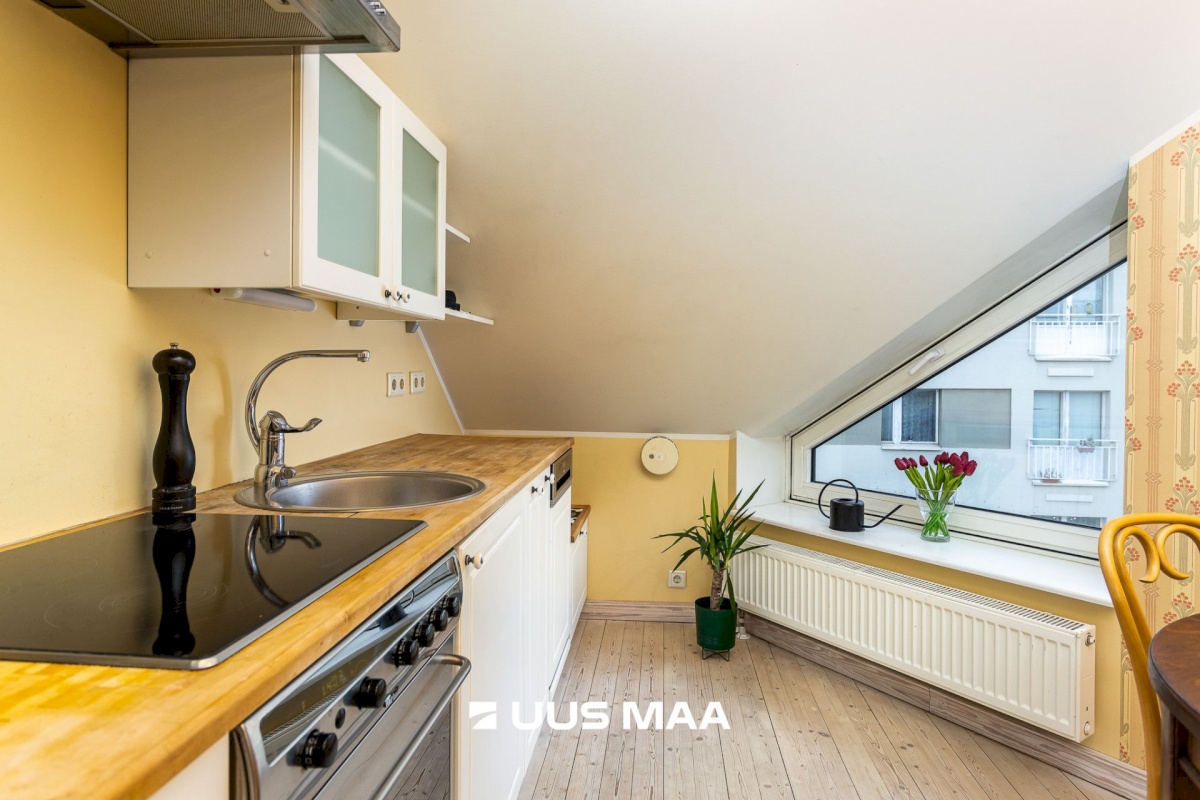 Tallinn, Kesklinna linnaosa, Kadriorg, Koidula 28