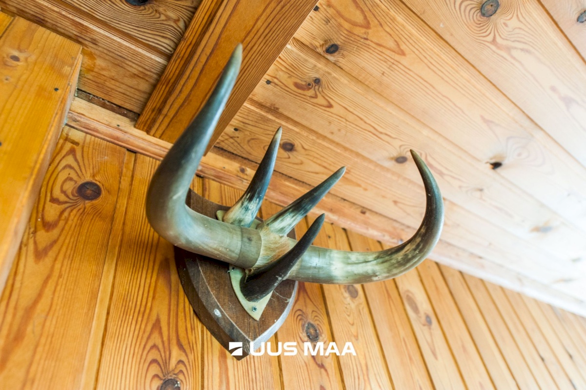 Saue vald, Kibuna küla, Porri AÜ