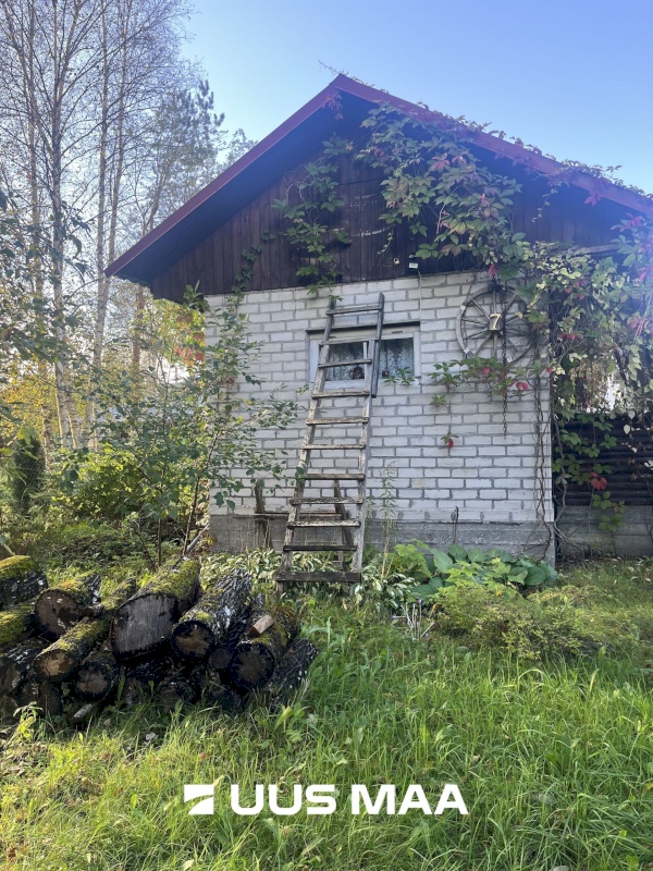 Saue vald, Kibuna küla, Porri AÜ