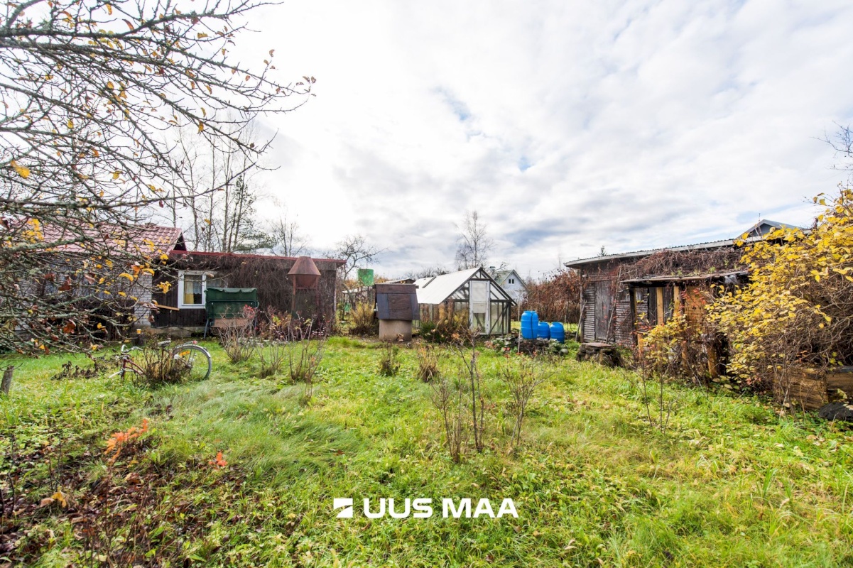 Saue vald, Kibuna küla, Porri AÜ