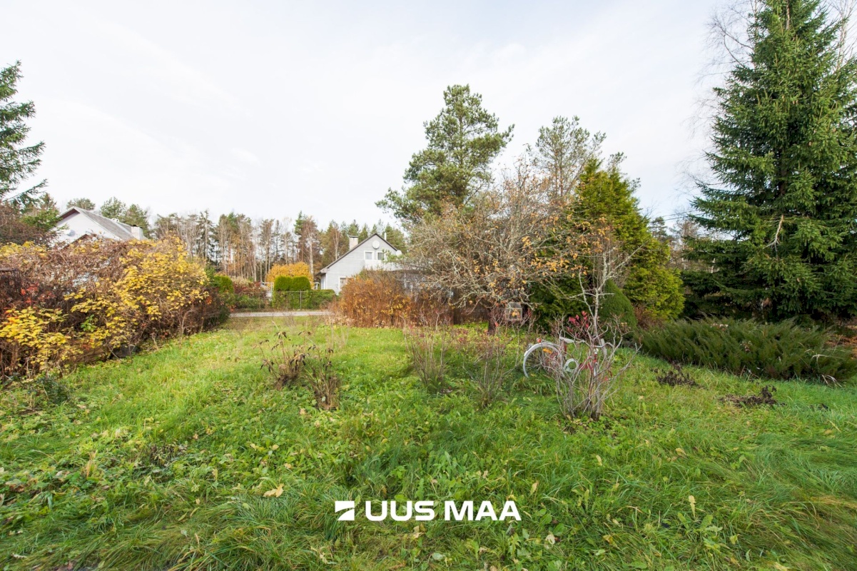 Saue vald, Kibuna küla, Porri AÜ