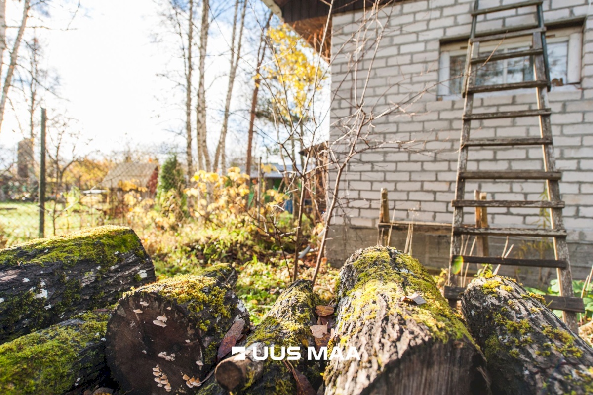 Saue vald, Kibuna küla, Porri AÜ