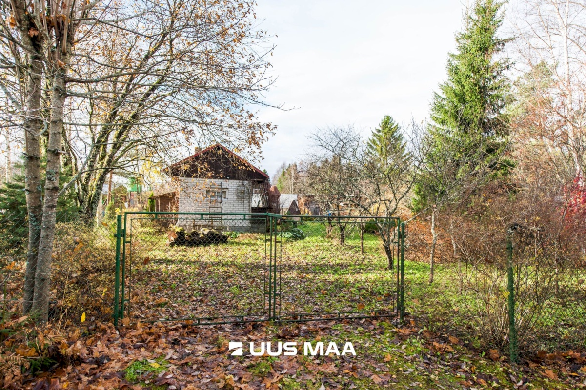 Saue vald, Kibuna küla, Porri AÜ