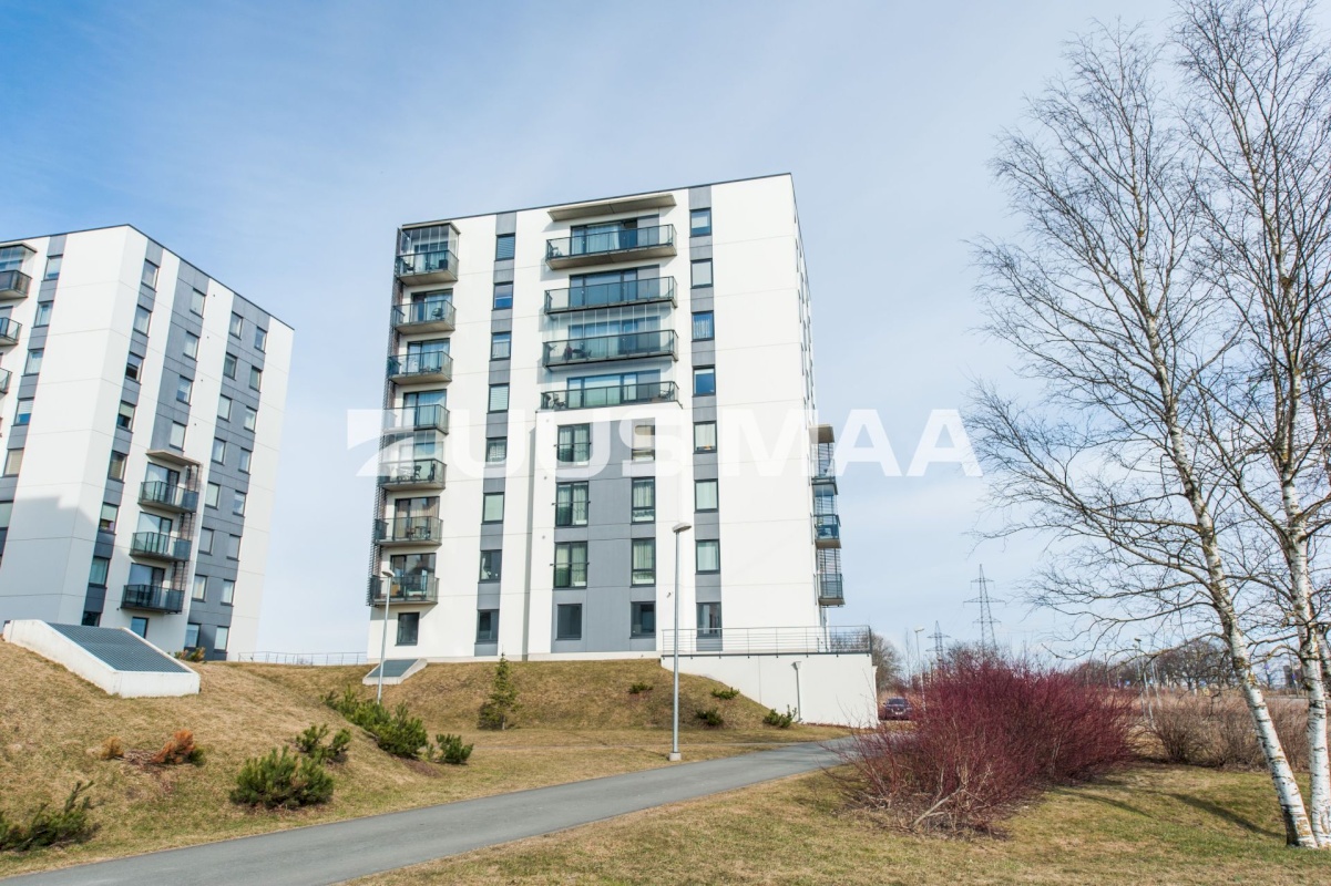 Tallinn, Lasnamäe linnaosa, Paevälja, Liikuri 41/1