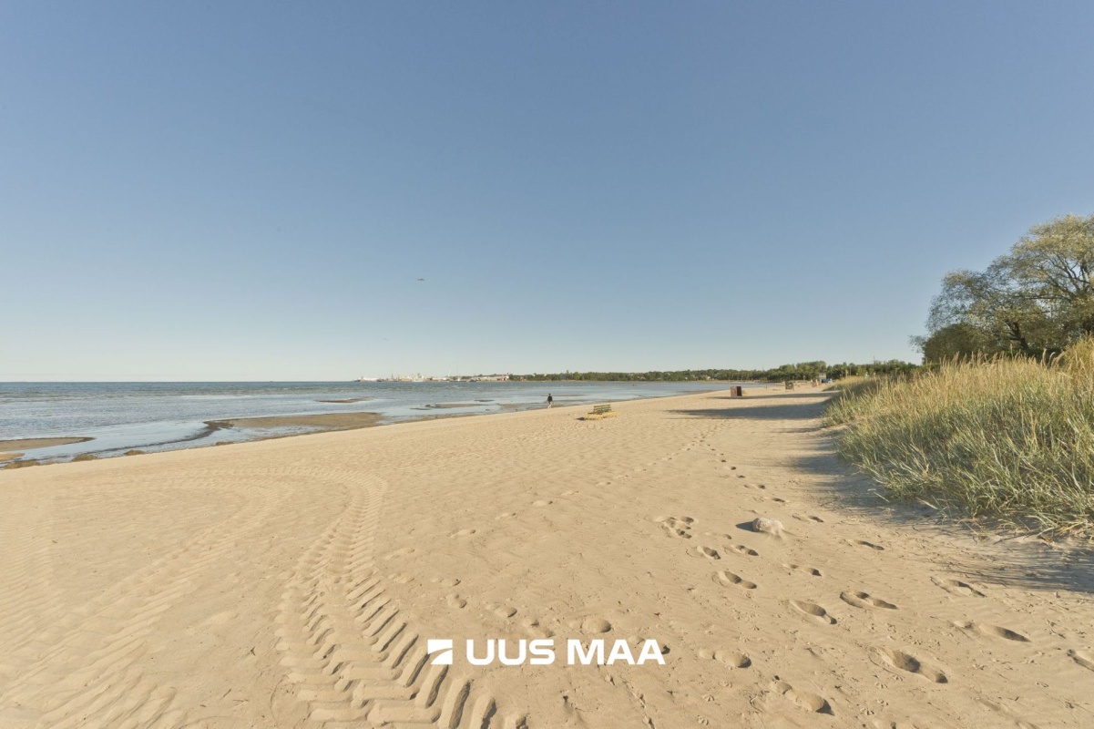 Tallinn, Põhja-Tallinna linnaosa, Pelguranna, Madala 16