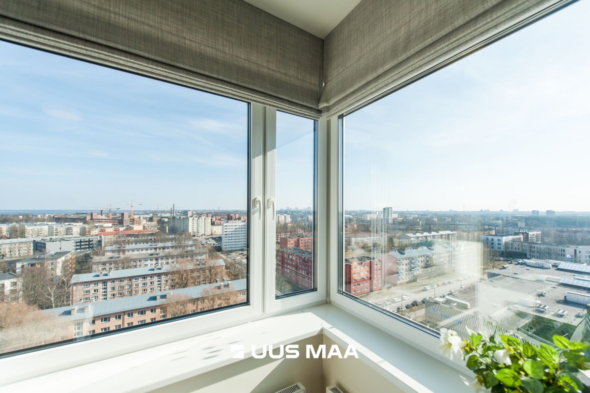 Tallinn, Põhja-Tallinna linnaosa, Pelguranna, Madala 16