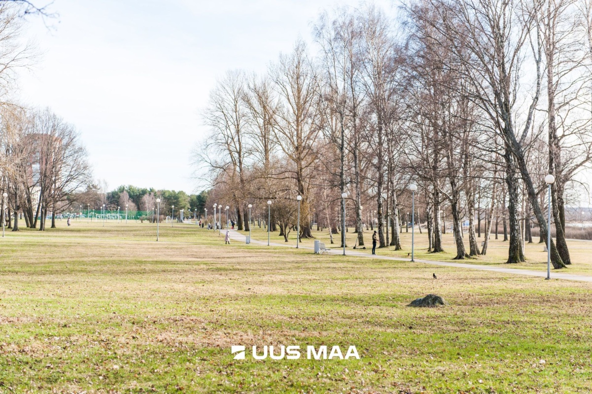 Tallinn, Põhja-Tallinna linnaosa, Pelguranna, Madala 16