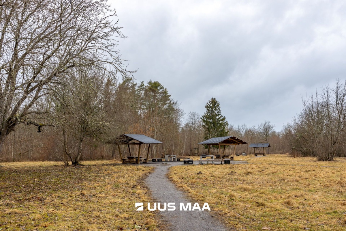 Harku vald, Tabasalu alevik, Lucca park 4
