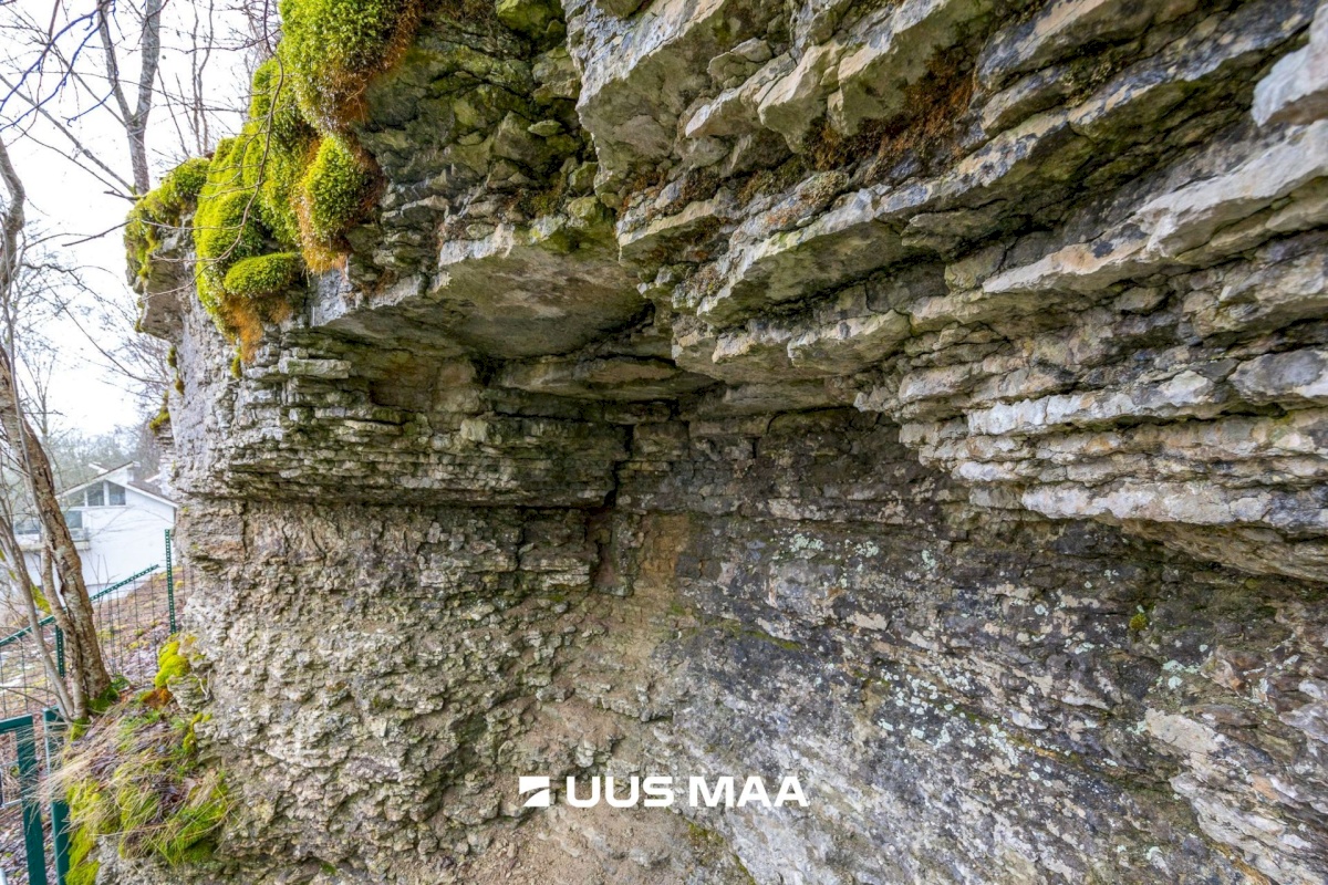 Harku vald, Tabasalu alevik, Lucca park 4