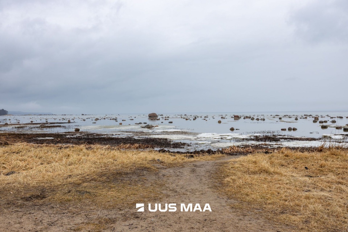 Harku vald, Tabasalu alevik, Lucca park 4
