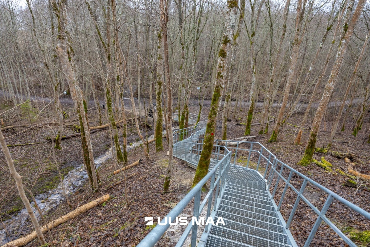 Harku vald, Tabasalu alevik, Lucca park 4