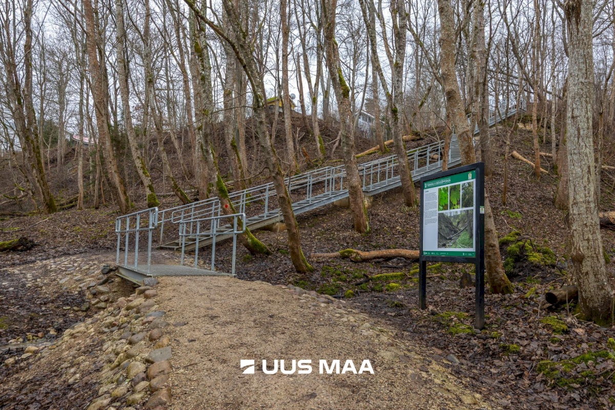 Harku vald, Tabasalu alevik, Lucca park 4