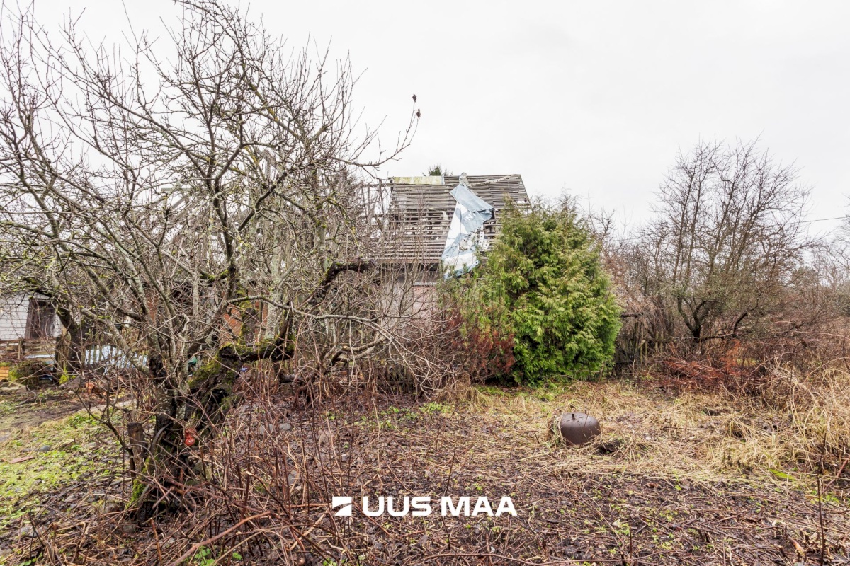 Maardu linn, Peedi tee 14