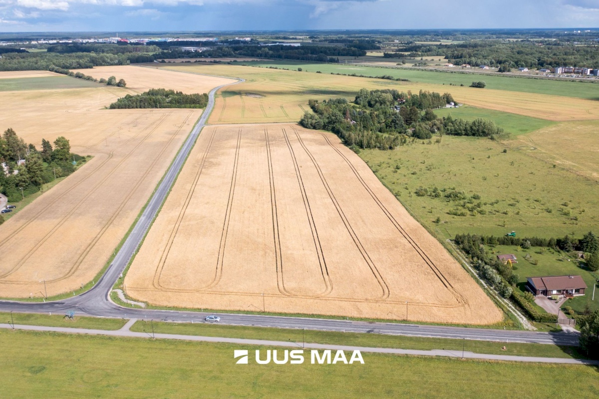 Saue vald, Vanamõisa küla, Suurevälja tee