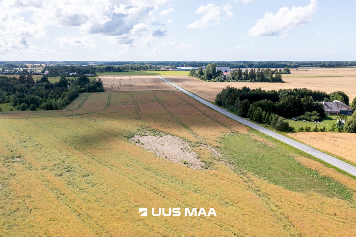 Saue vald, Vanamõisa küla, Suurevälja tee