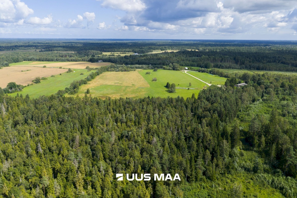 Saue vald, Pärinurme küla, Uus-Ülesoo