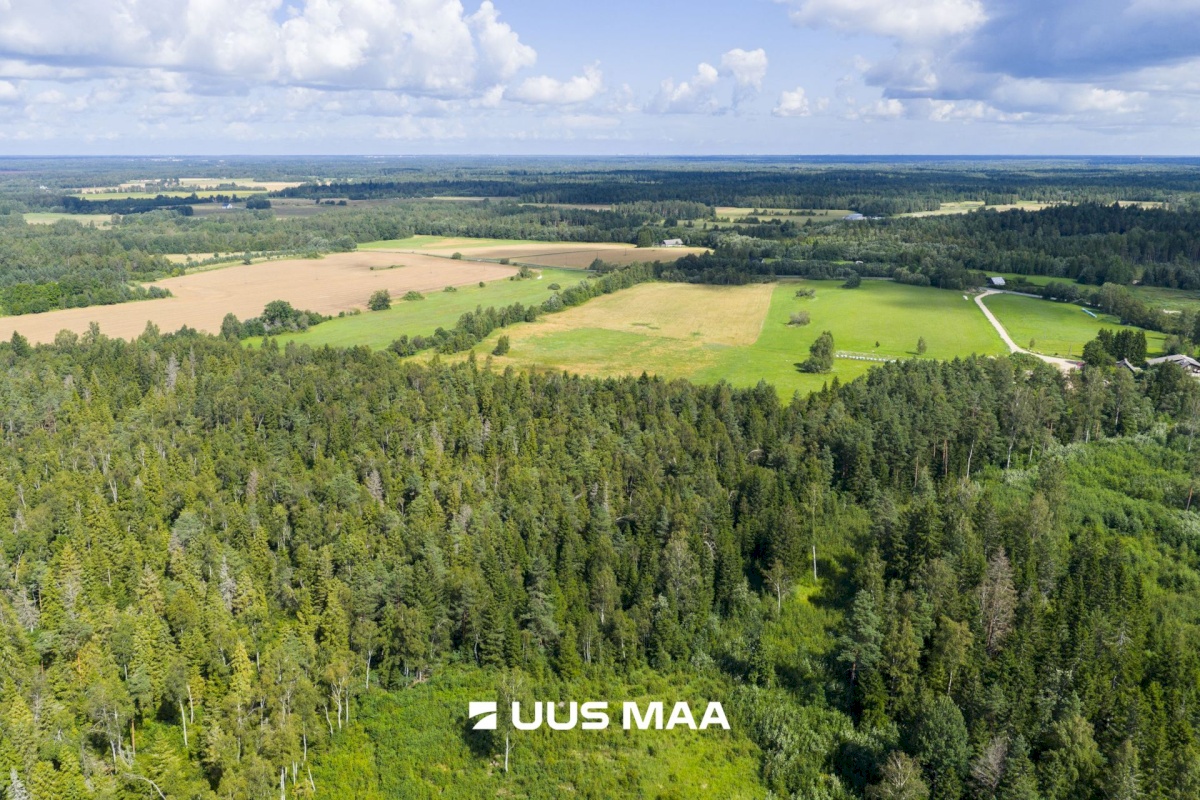 Saue vald, Pärinurme küla, Uus-Ülesoo