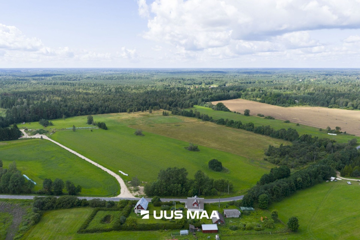 Saue vald, Pärinurme küla, Uus-Ülesoo