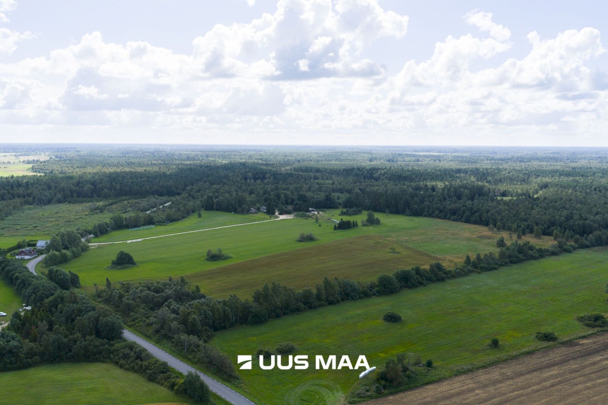 Saue vald, Pärinurme küla, Uus-Ülesoo