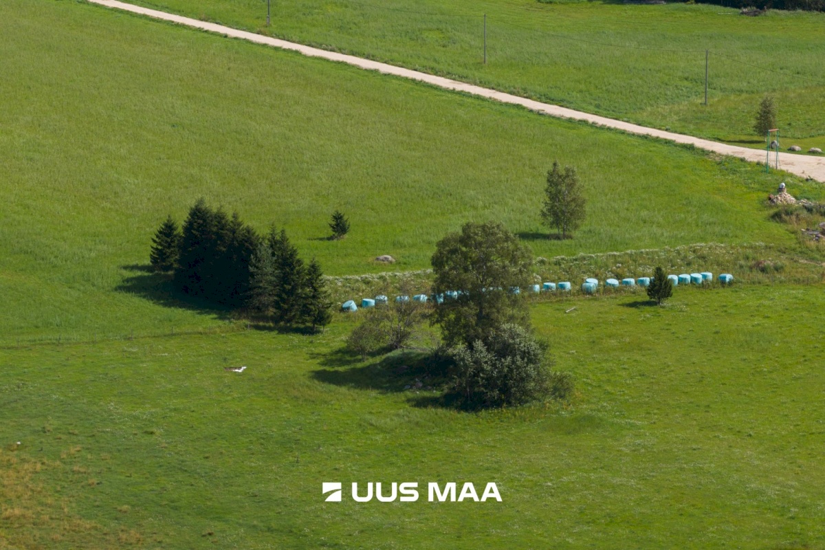 Saue vald, Pärinurme küla, Uus-Ülesoo