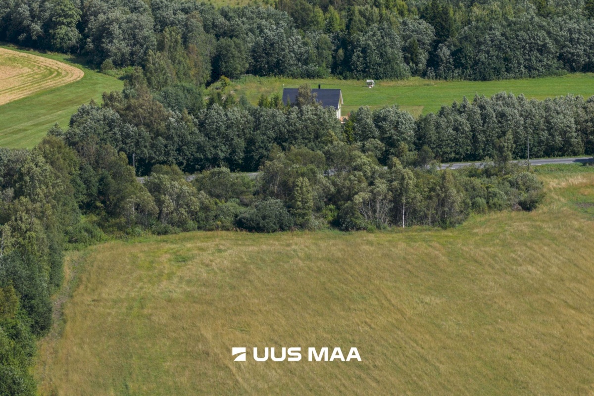 Saue vald, Pärinurme küla, Uus-Ülesoo