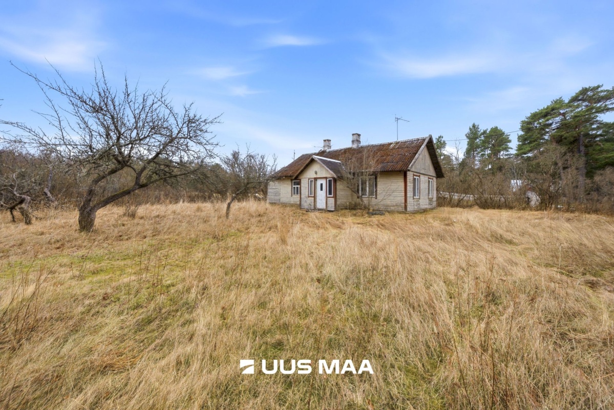 Haljala vald, Vergi küla, Ööbiku tee 10