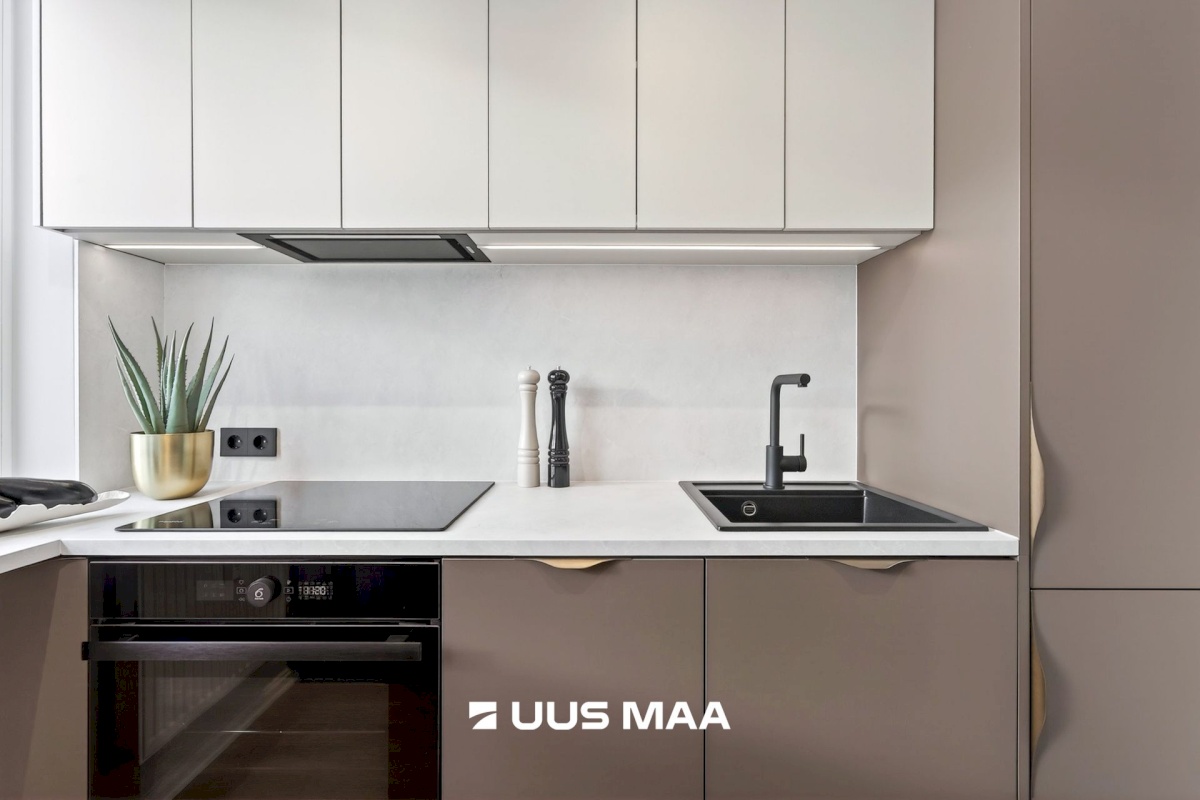 Tallinn, Mustamäe linnaosa, A.H.Tammsaare tee 113