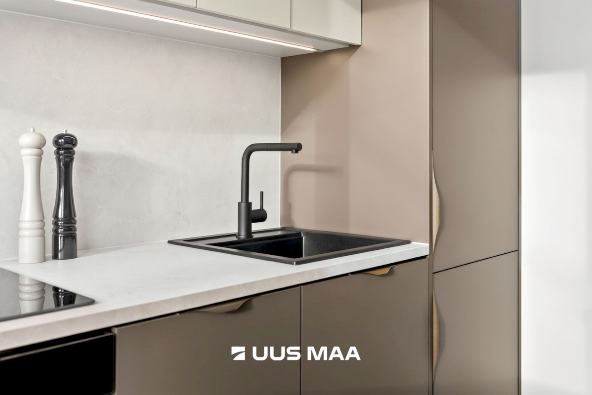 Tallinn, Mustamäe linnaosa, A.H.Tammsaare tee 113