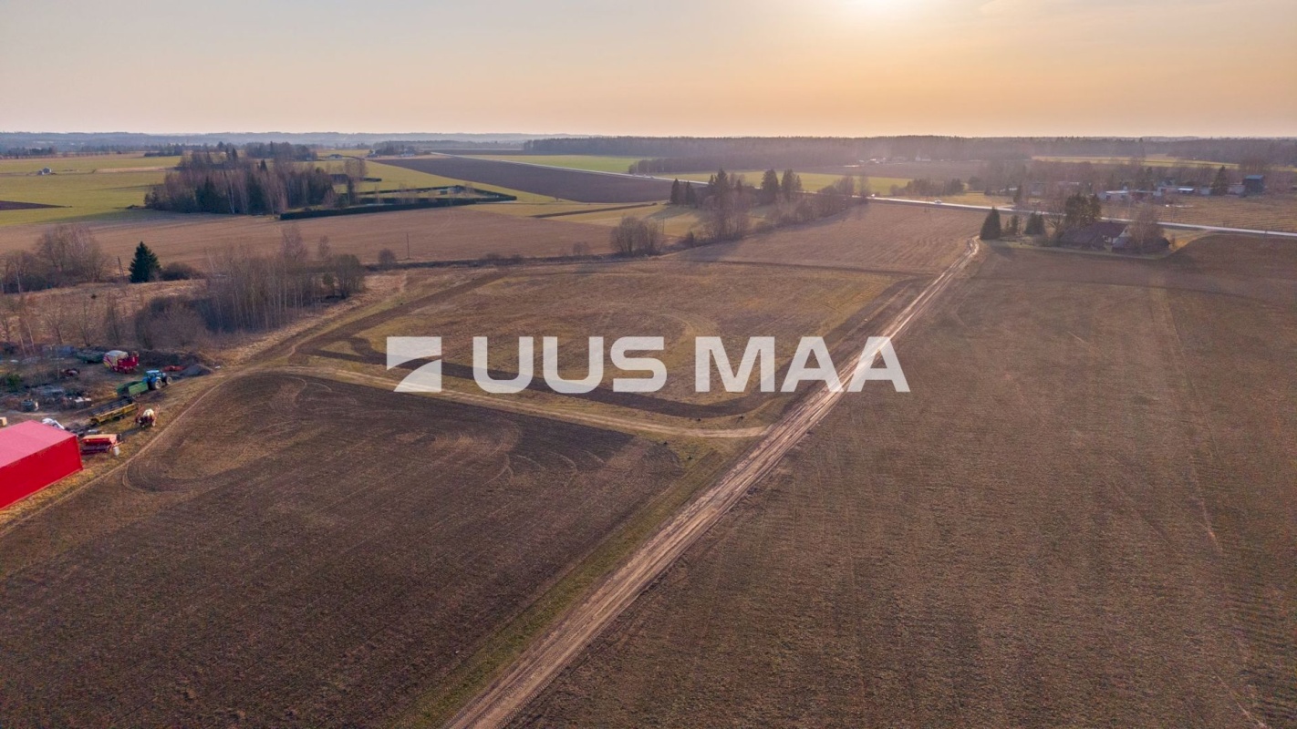 Kambja vald, Uhti küla, Kauri tee