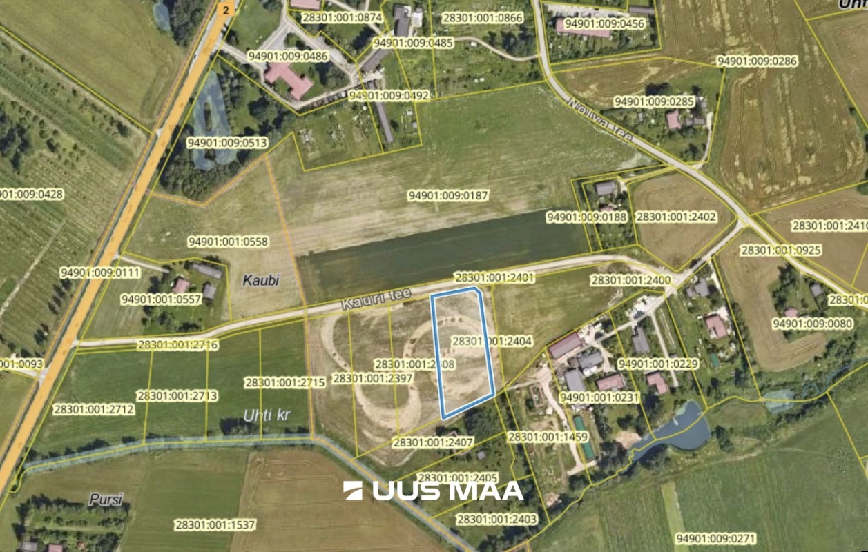 Kambja vald, Uhti küla, Kauri tee