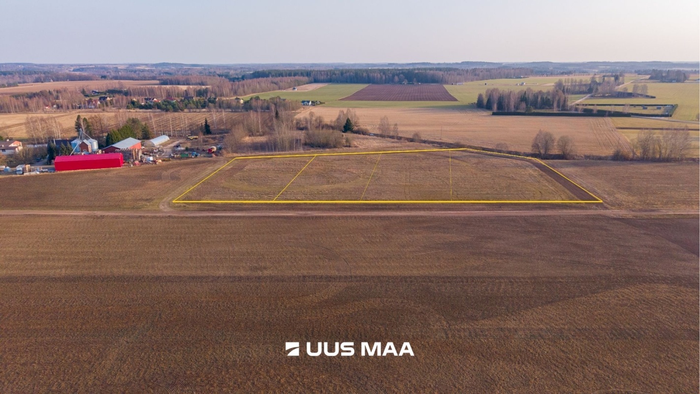 Kambja vald, Uhti küla, Kauri tee