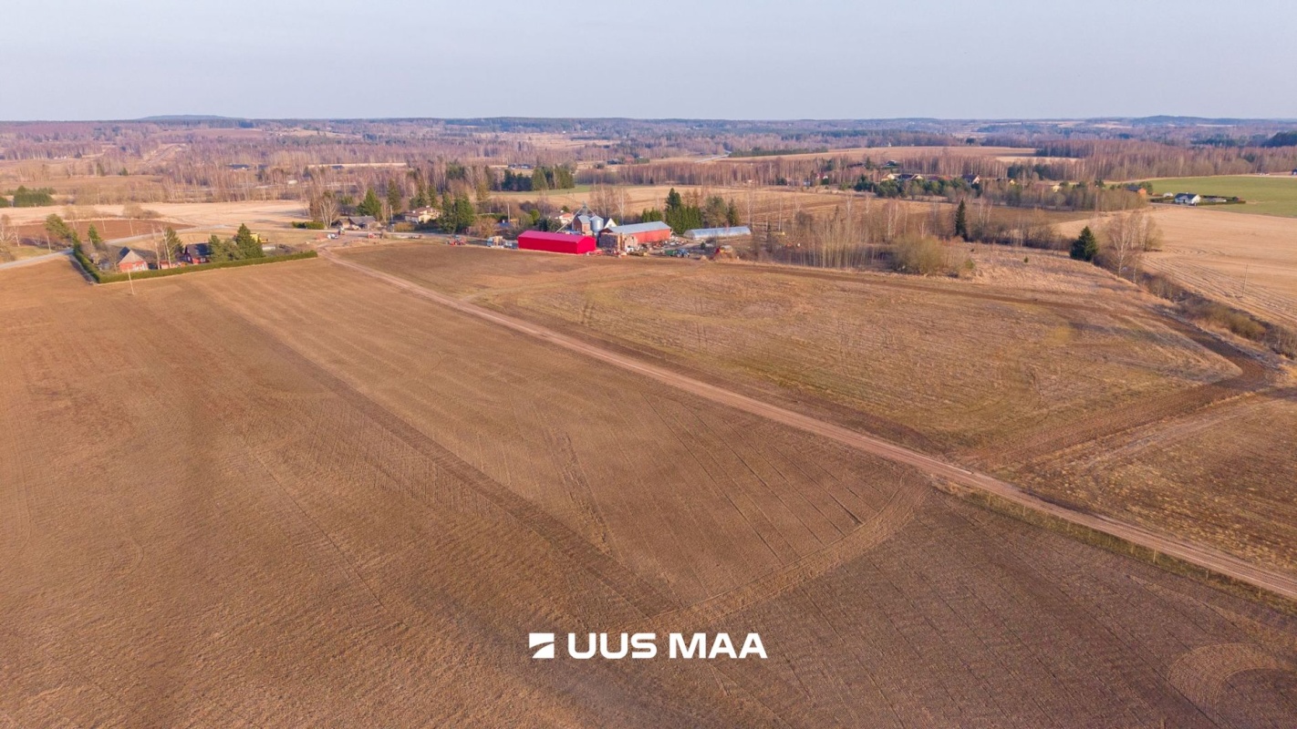 Kambja vald, Uhti küla, Kauri tee