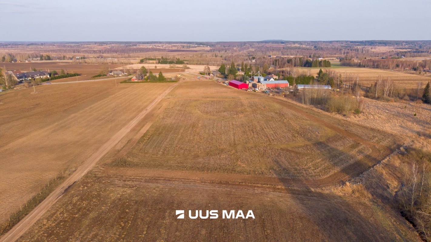 Kambja vald, Uhti küla, Kauri tee