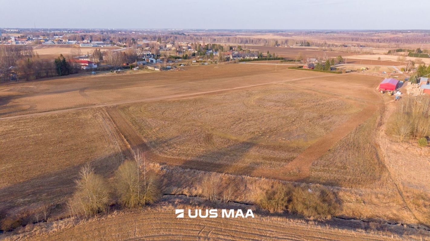 Kambja vald, Uhti küla, Kauri tee