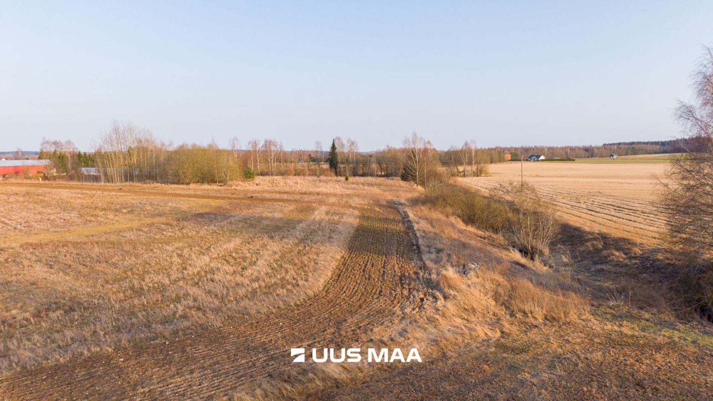 Kambja vald, Uhti küla, Kauri tee