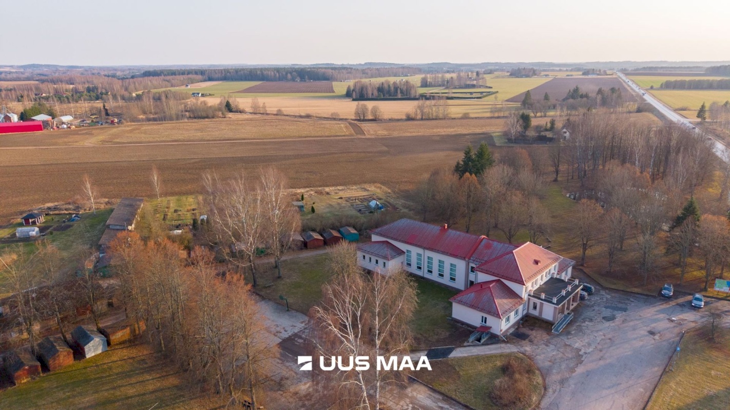 Kambja vald, Uhti küla, Kauri tee